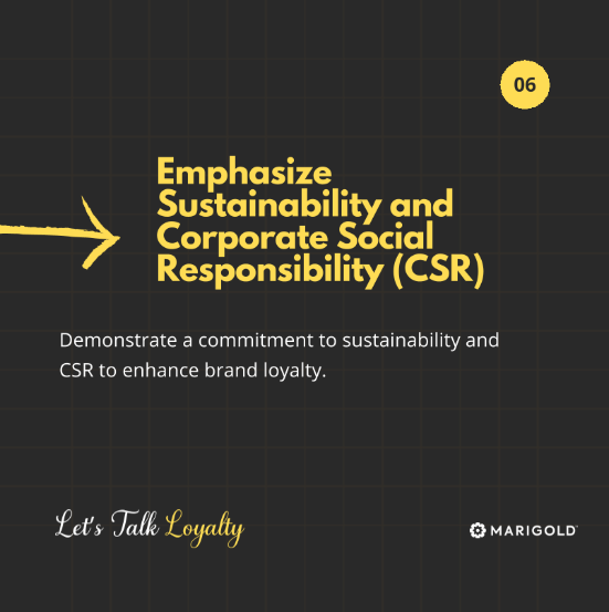 Demonstrate a commitment to sustainability and CSR